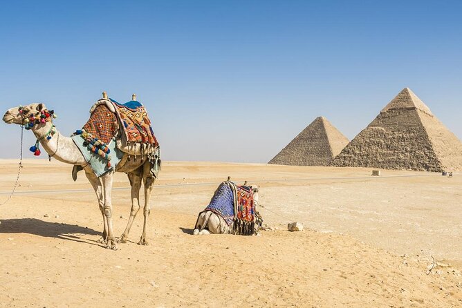 Private Day Tour to Cairo With Flights and Lunch From Hurghada