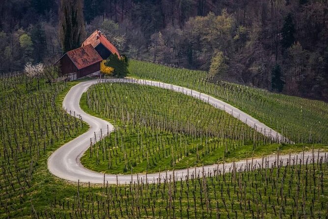 Private Day Tour to Ljubljana From the Slovenian Coast.