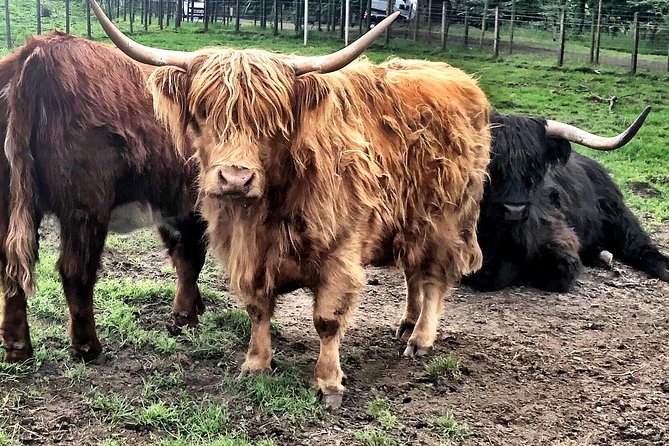 Private Day Trip Outlander Filming Locations From Edinburgh