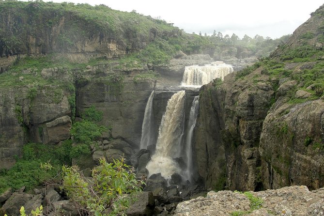 Private Day Trip to Debre Libanos Portuguese Bridge Galada Baboon - Overview of the Day Trip