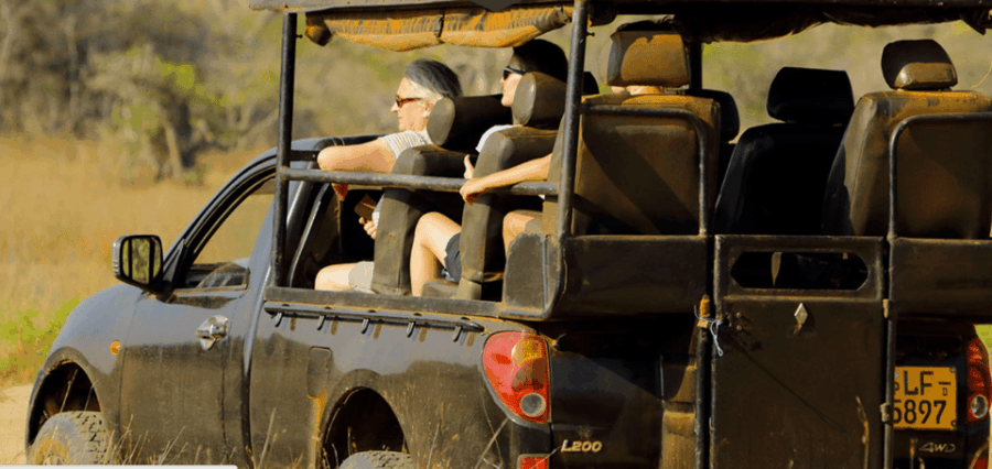 Private Day Trip to Wilpaththu National Park From Colombo
