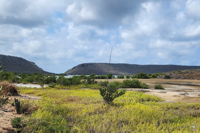 Private E-Bike Adventure Through Tropical Nature of Curacao