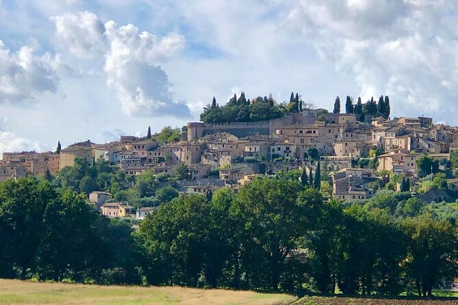 Private E Bike Tour in the Olivata Area Assisi Spello Foligno