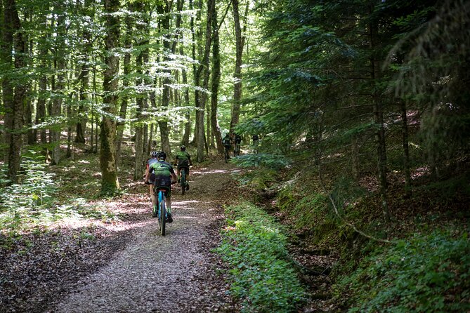 Private E-Bike Tour to Discover Alto Molise