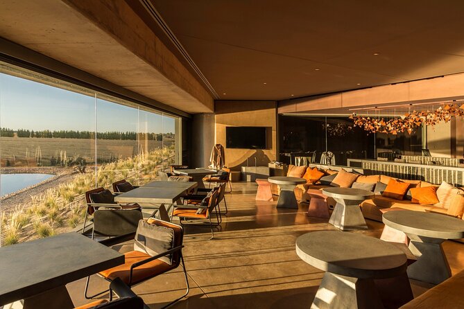 Private Experience in the Land of Malbec With Lunch