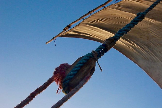 Private Full-Day Cruise on Sandbank and Kwale Island