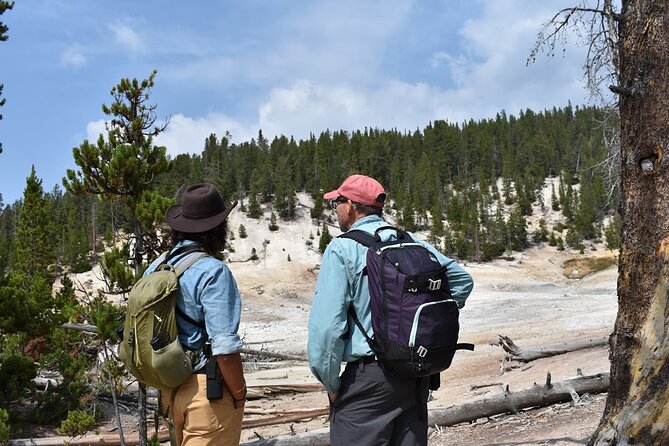 Private Full-Day Grand Canyon of Yellowstone Hiking Adventure (Up to 8 People) - Tour Overview