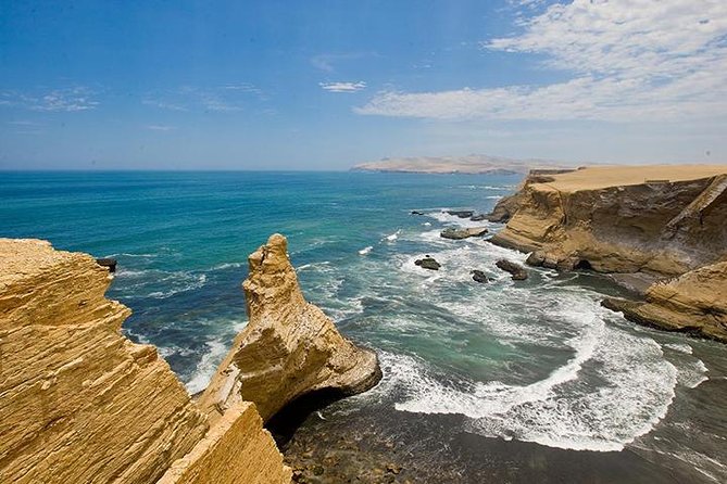 Private Full Day Paracas From Lima