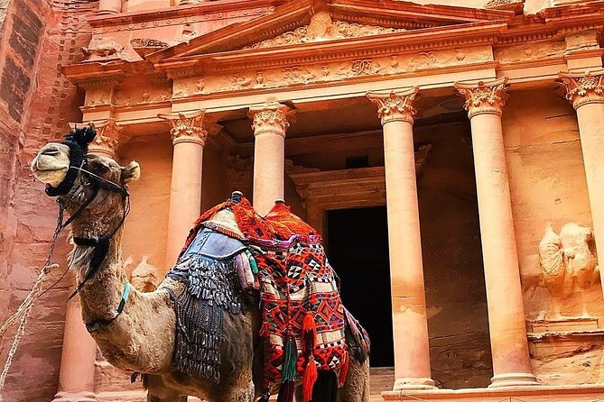Private Full Day Petra and Wadi Rum Tour From Amman