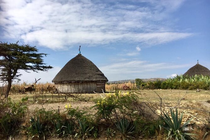 Private Full-Day Stone Age and Medieval Tour From Addis Ababa