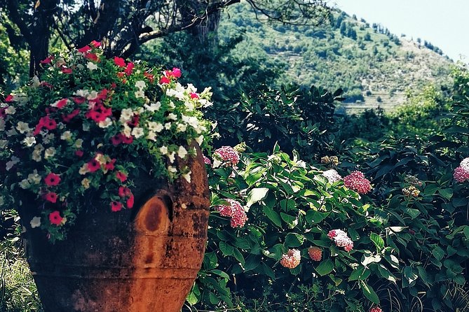 Private Full Day Tour to Capri With Grottos