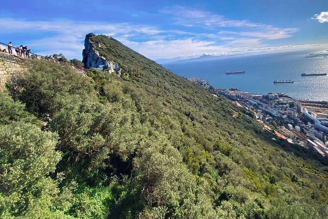 Private Gibraltar Panoramic Tour With Monkeys 1hrs