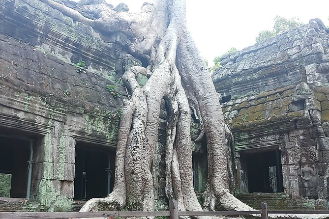 Private Guide in and Around Siem Reap: Custom Tour