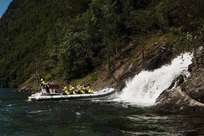 Private Guided Day Tour - RIB Sognefjord Safari and Flåm Railway - Itinerary and Activities