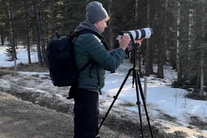 Private Guided Owl Prowl to Observe and Photograph Wild Owls