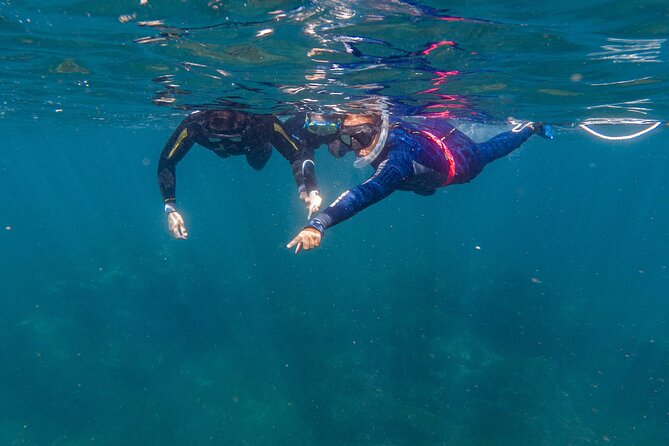 Private Guided Snorkeling in Cabo San Lucas - Meeting and Pickup Information