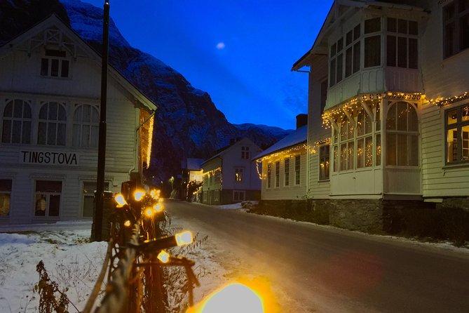 PRIVATE GUIDED TOUR: the Heart of Norway – Viking Special, 8-9 Hours – WINTER