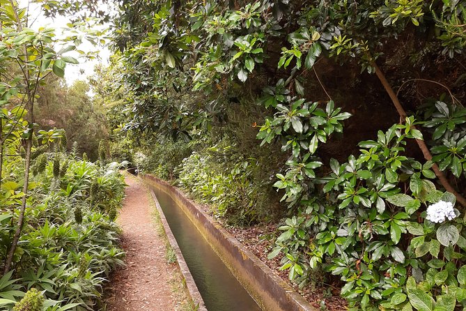 Private Guided Walk Levada Faja Dos Rodrigues Half-Day