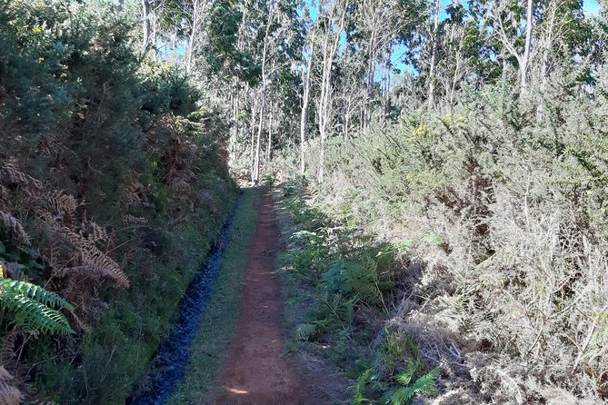 Private Guided Walk Porto Moniz Levada Do Moinho