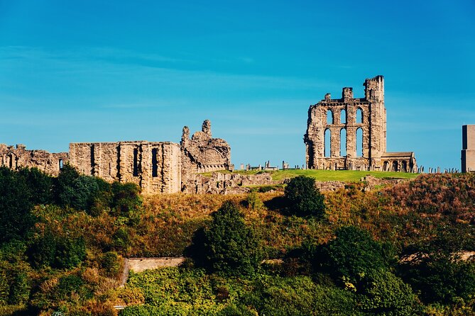 Private Half-Day Coastal Tour From Newcastle to Vera'S World