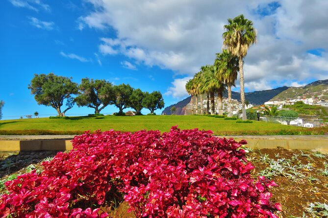 Private Half-Day Morning 4×4 Tour From Funchal