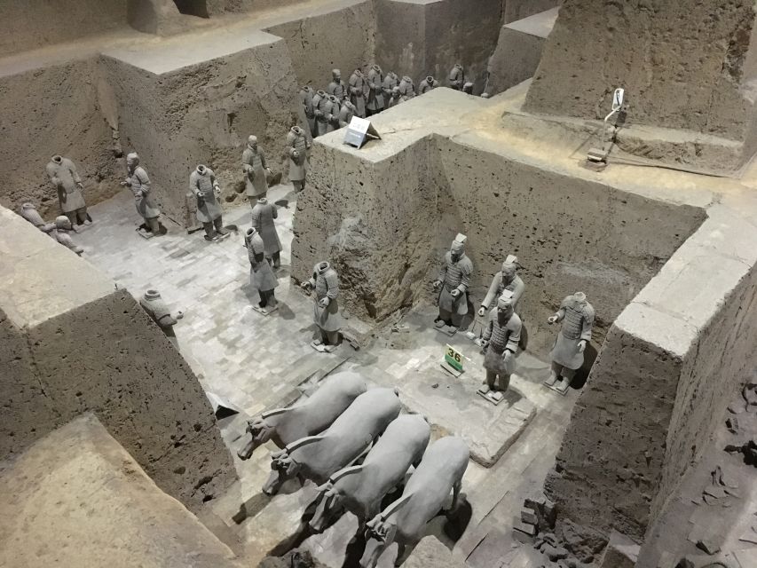 Private Half-Day Tour to the Terracotta Army Museum