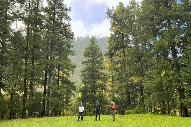 Private Hiking to Puerta Del Cielo in Los Dinamos Park - Meeting Details