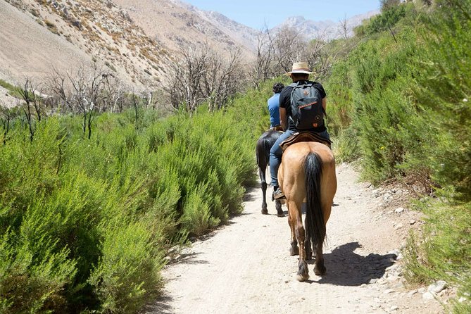 Private Horseback Riding and Wines From Santiago - Overview of the Tour