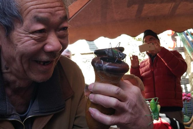 Private Hutong Culture Tour With Dumpling Cooking Class Plus Cricket Fighting Game - Overview of the Tour