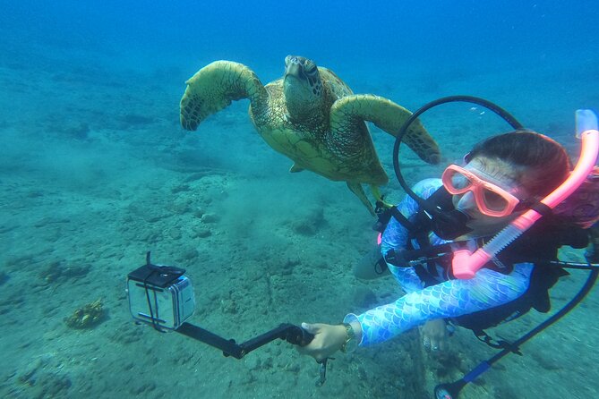 Private Intro SCUBA Adventure - Overview of the Course