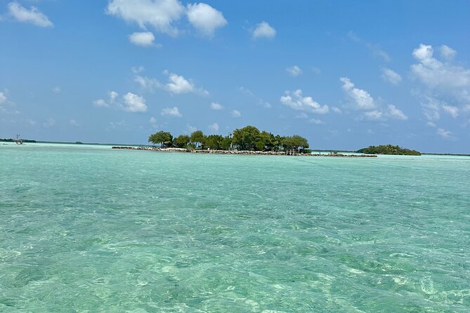 Private Island Experience for a Day With Options