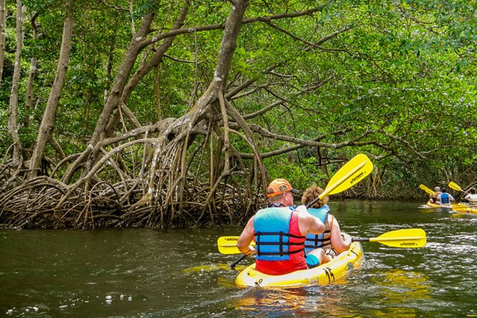 Private Kayaking Nature Tour of Los Haitises National Park