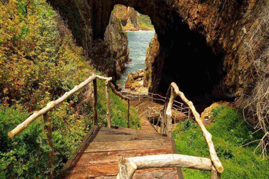 Private Knysna Tour - Full Day