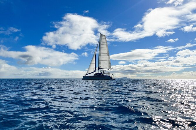 Private Luxury Catamaran Madeiras Coastline Sailing Tours - Additional Information