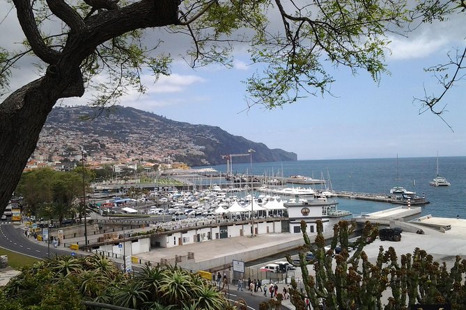 Private Madeira Tour up to 4 People
