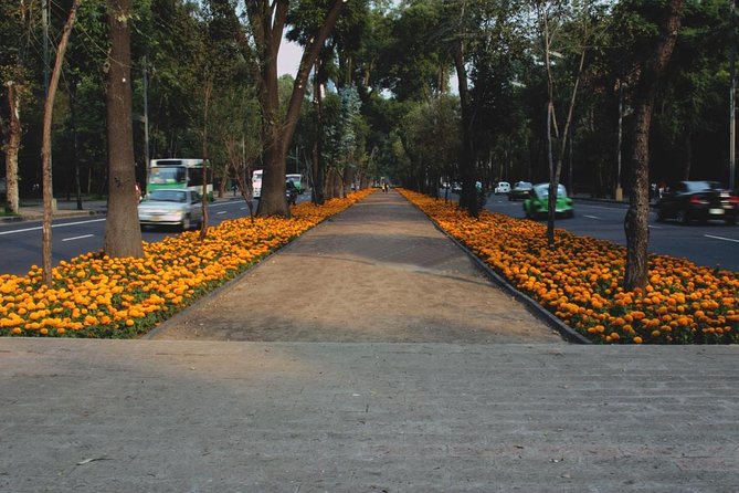 Private Mexico City Walking Tour With a Local: Roma & Condesa 100% Personalized - Tour Overview and Customization
