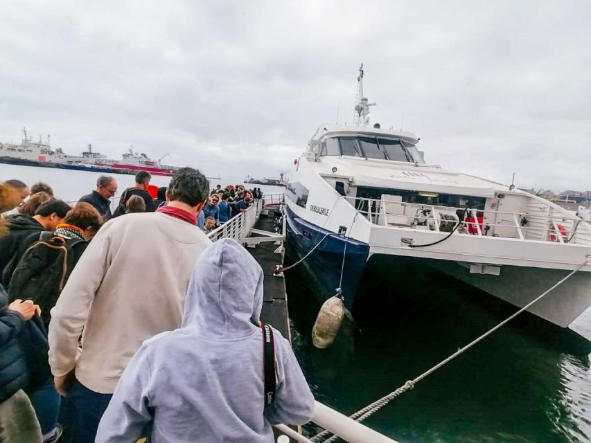 Private Multi-Day Tour to Table Mountain and Robben Island F