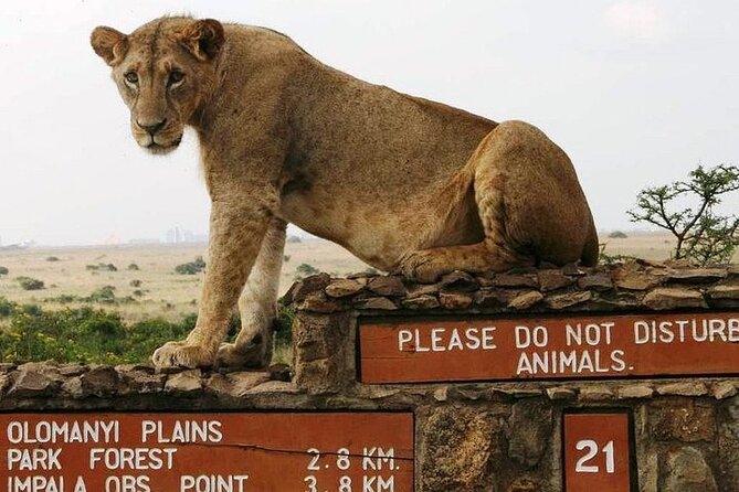 Private Nairobi National Park Day Tour