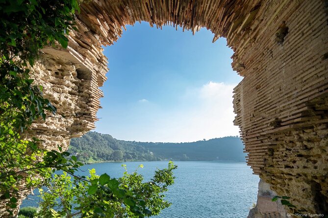 Private Natural Wine Tasting Tour, Lunch, Sommelier and Transfer. - Wines Included in the Experience