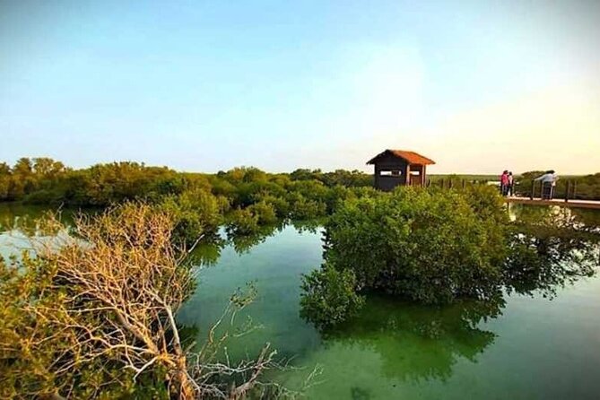 Private North of Qatar Tour