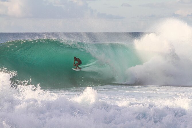 Private Oahu World-famous North Shore Tour From Honolulu 