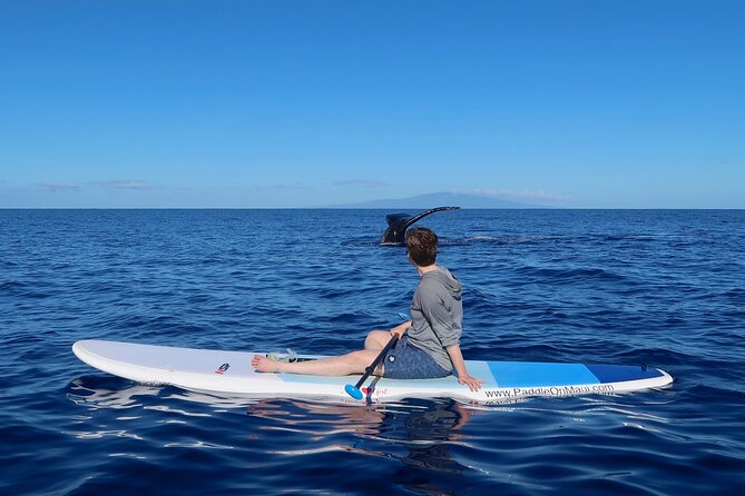 Private Paddleboard (SUP) Whale Watch – All Skill Levels Welcome