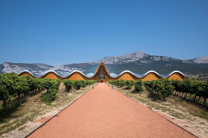 Private Rioja Wine Tour: Premium Wineries From Bilbao With Lunch