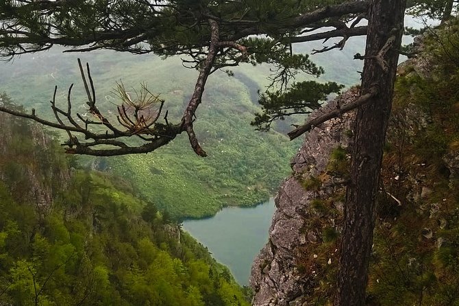 Private Road Trip From Belgrade to Mountain Tara