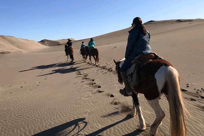 2 Best Shore Excursions In Valparaiso