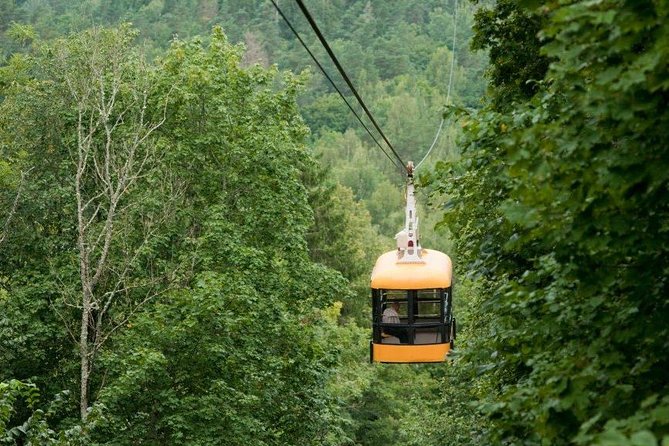 Private Sightseeing Tour in Sigulda