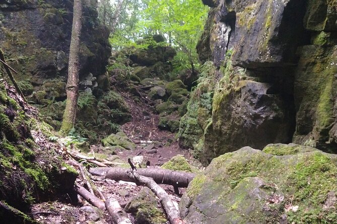 Private Singhampton Caves Hiking Tour, Collingwood/Blue Mountain - Inclusions