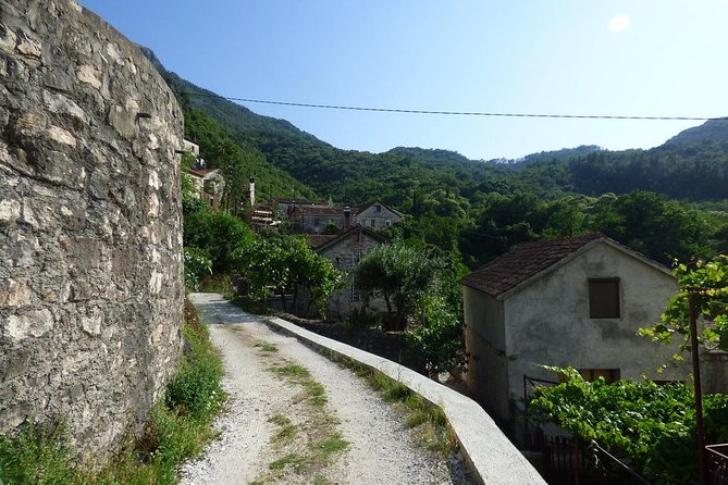 Private Skadar Lake Cruise and Tasting Tour