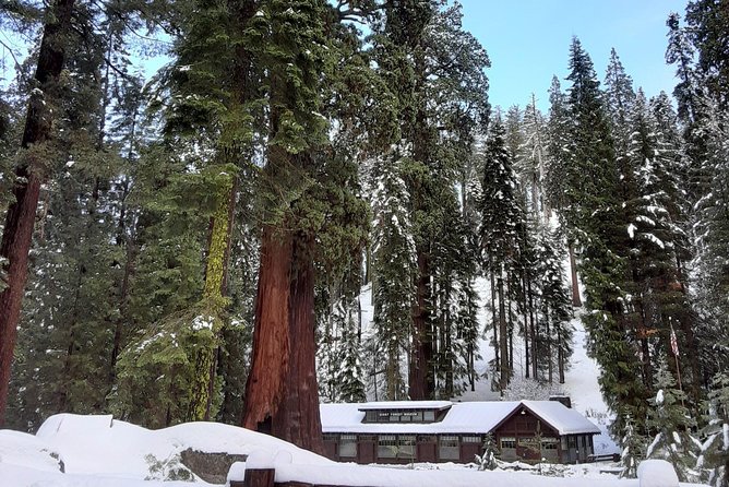 Private Snowshoe Adventure – Sequoia National Park