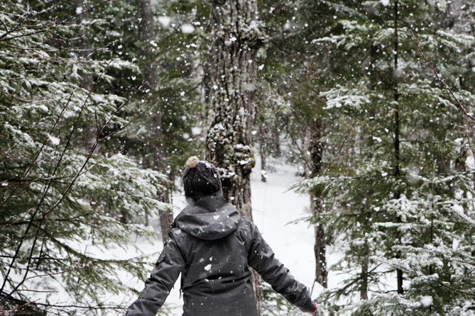 Private Snowshoeing Adventure From Badger Pass to Dewey Point